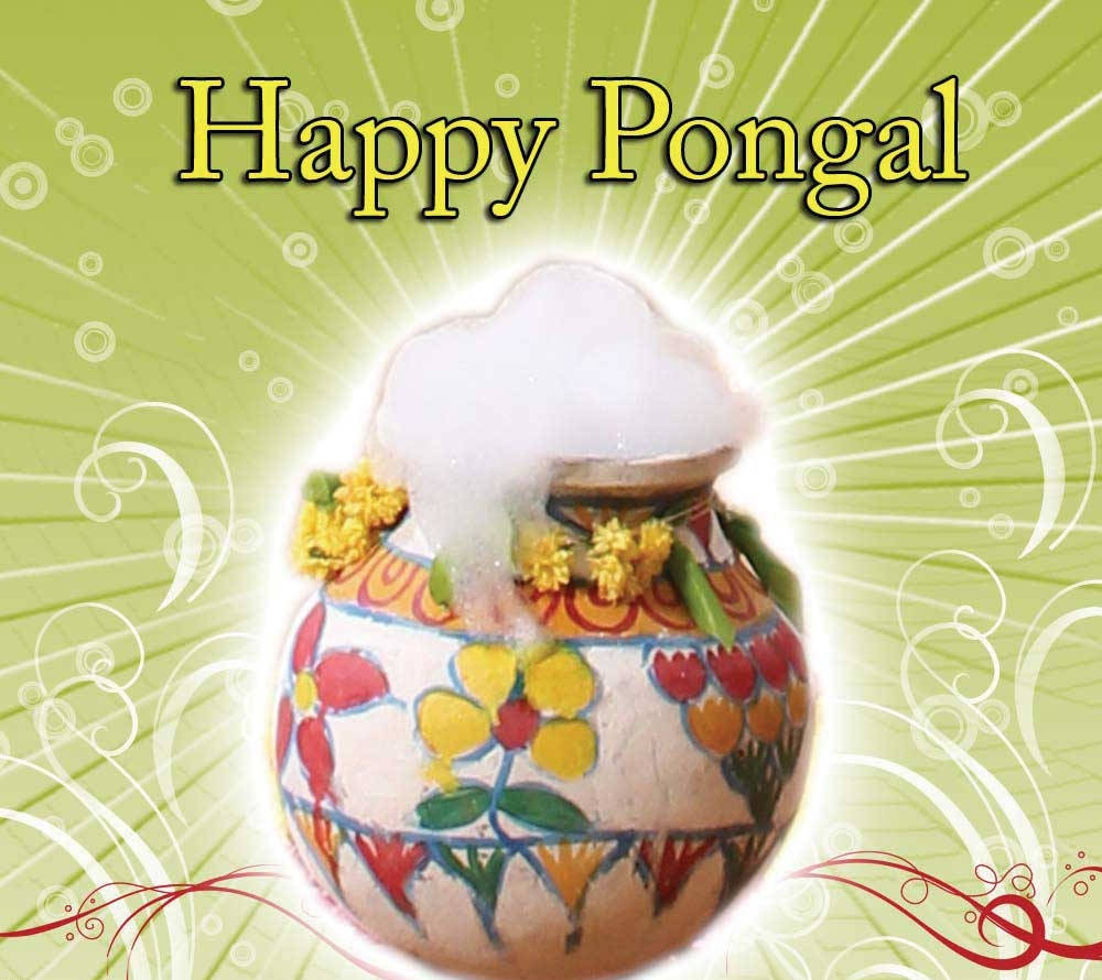 Happy Pongal Pot Foam
