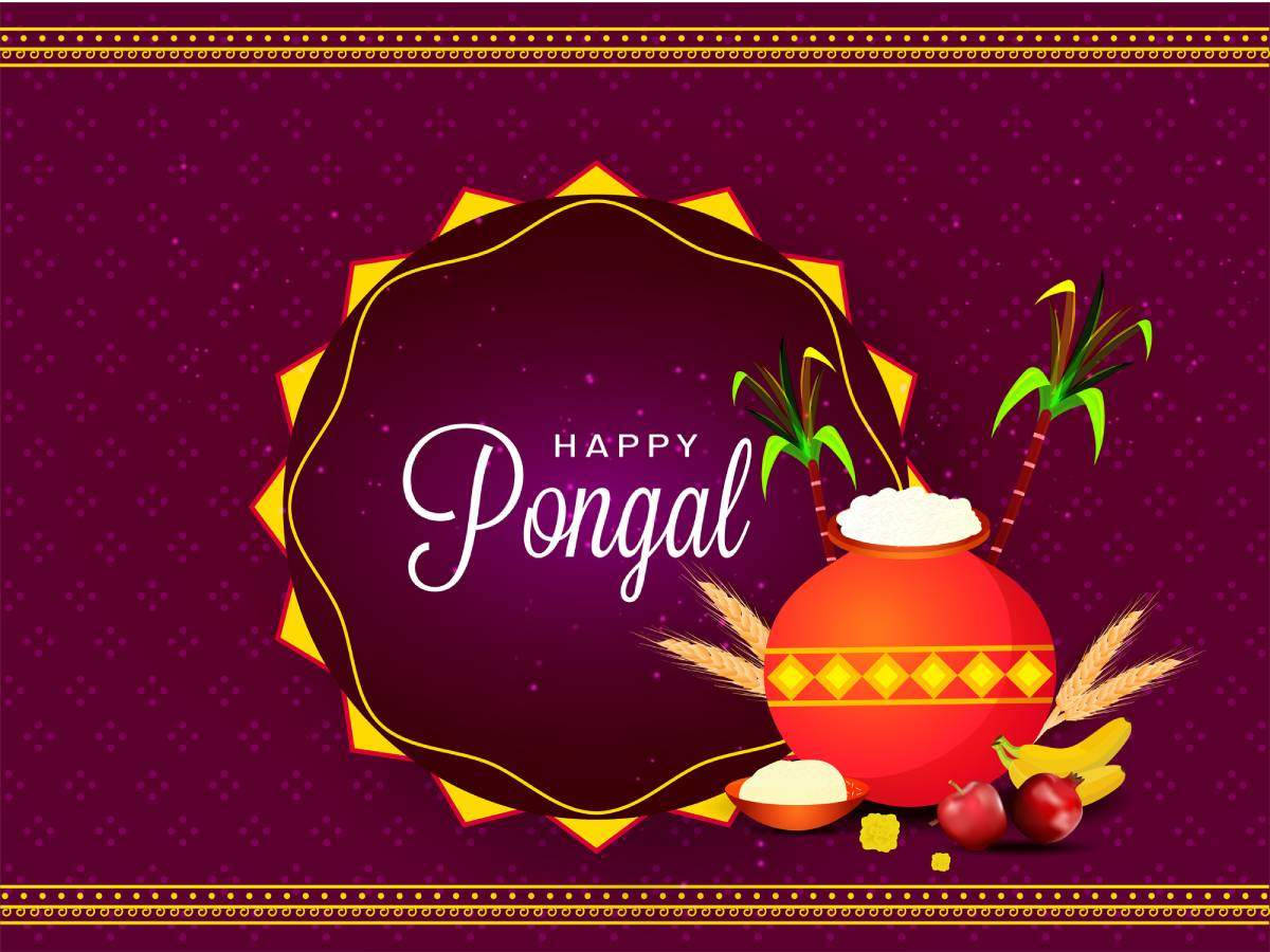 Happy Pongal Purple Poster Background