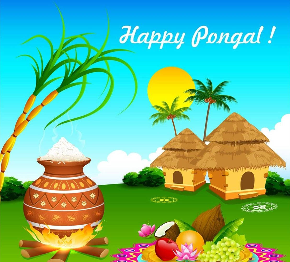 Happy Pongal Square Art