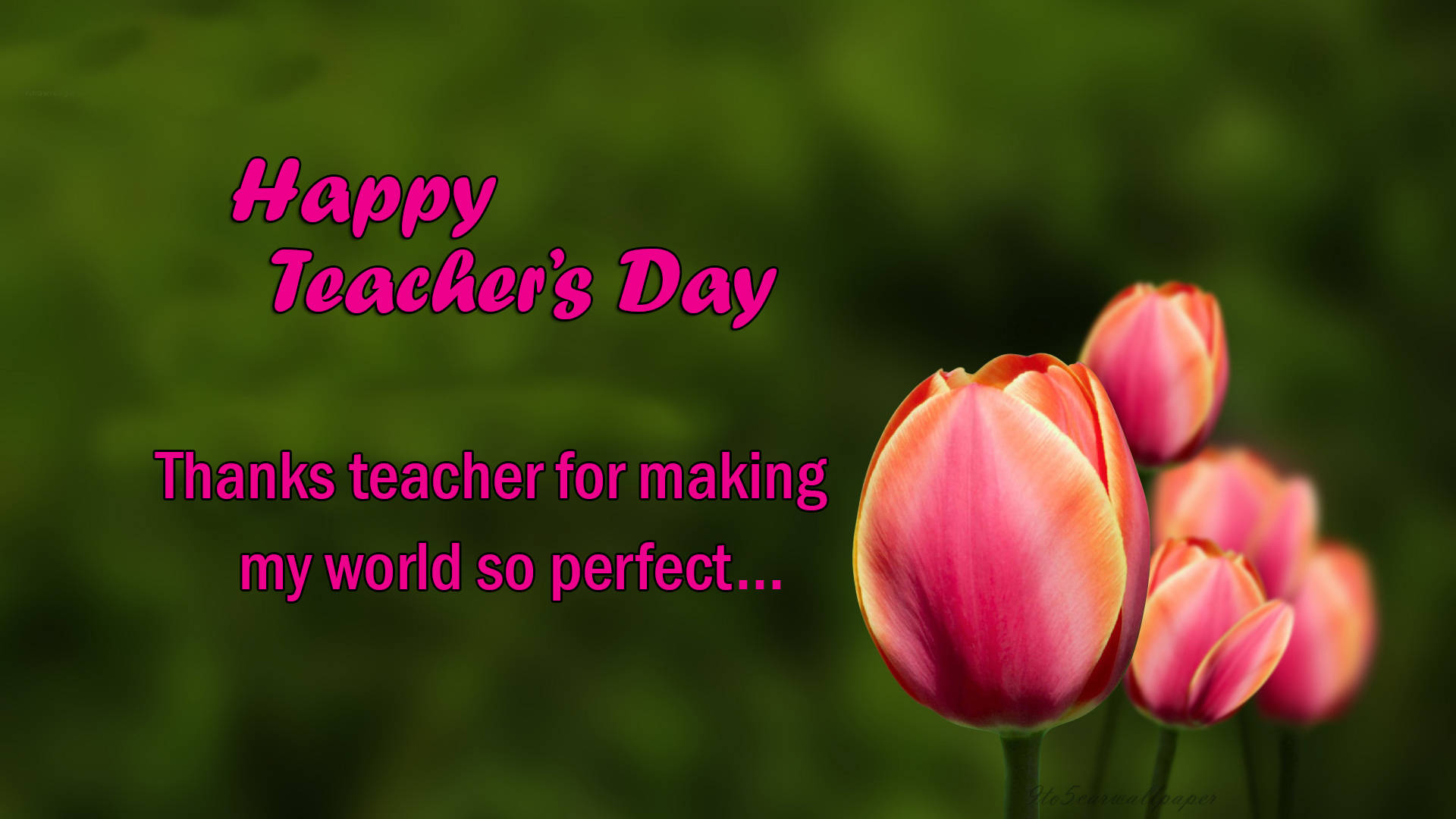 Happy Teachers' Day Perfect World Background