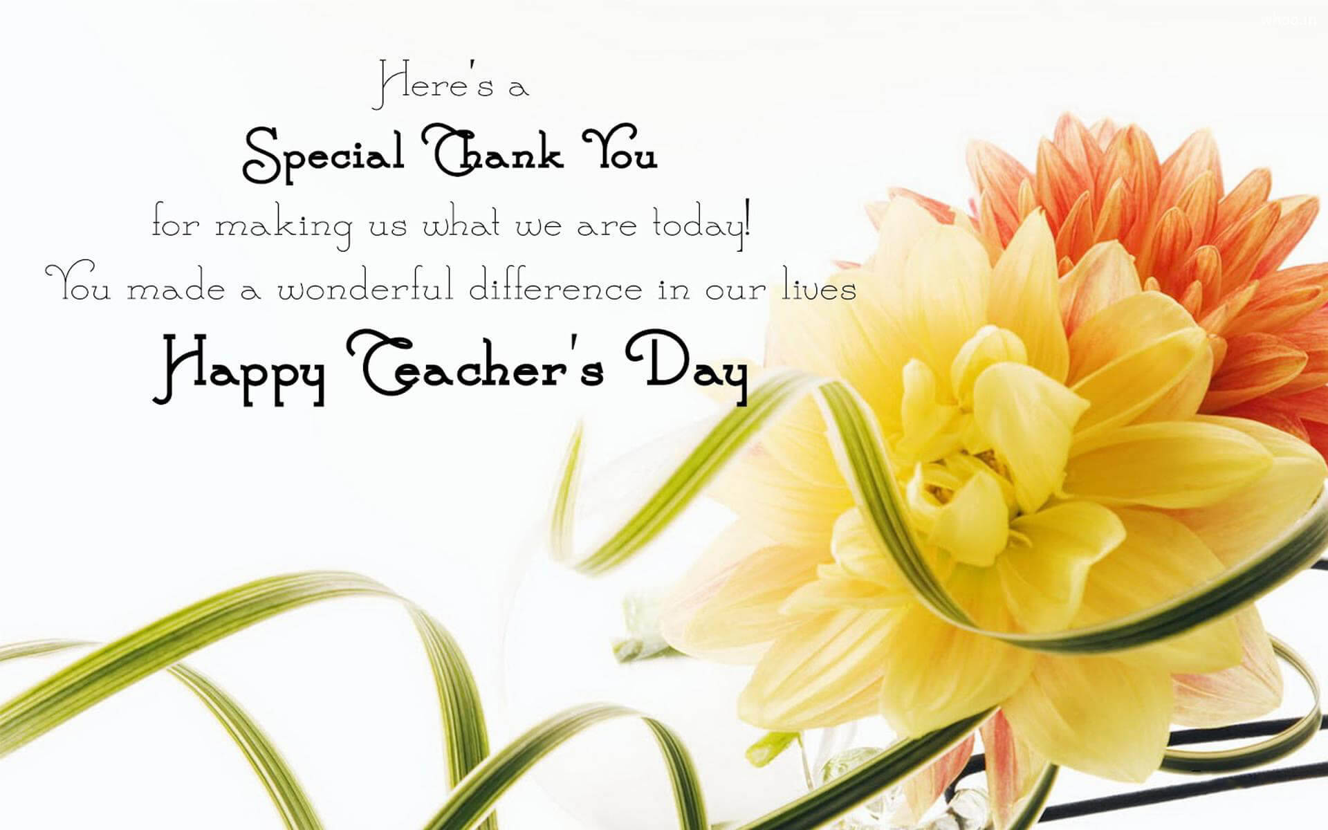 Happy Teachers' Day Special Thank You Background