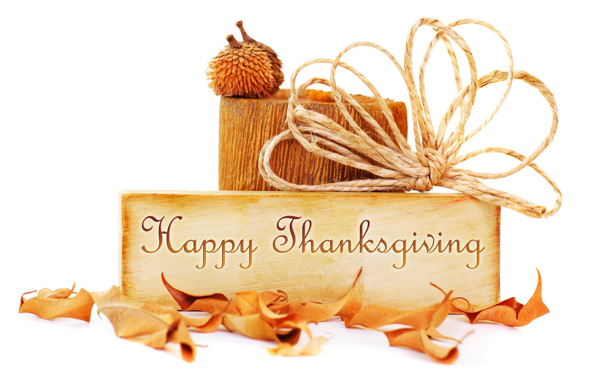 Happy Thanksgiving Cute Word Text Background