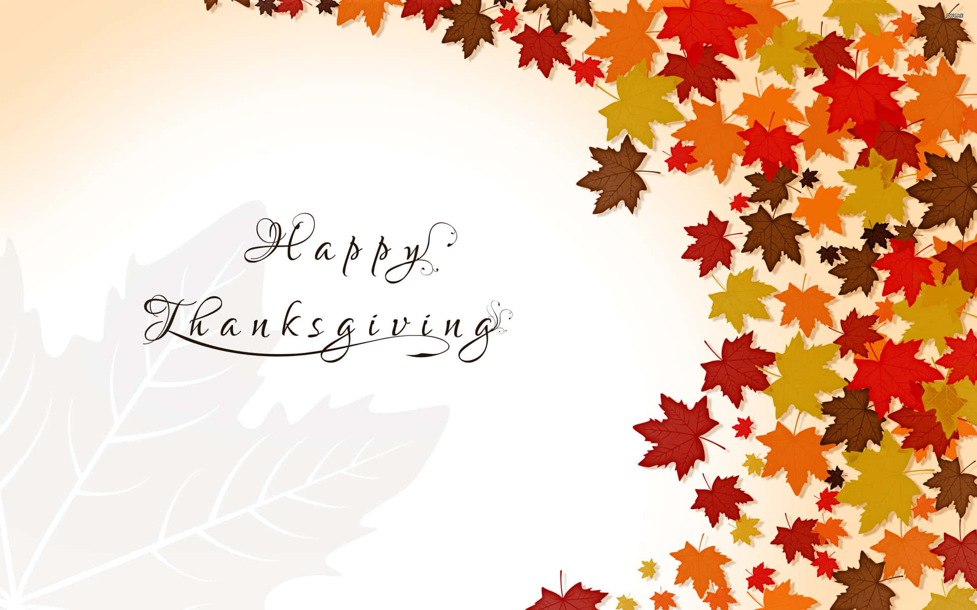 'happy Thanksgiving!' Background