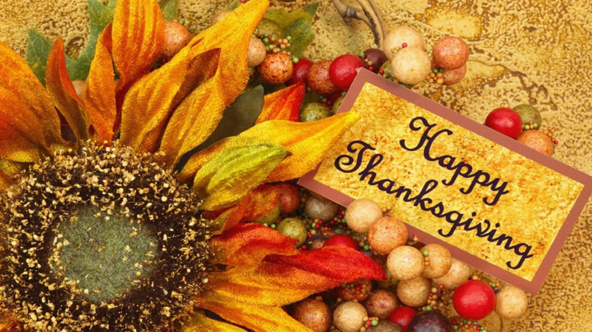 Happy Thanksgiving Greeting With Sunflower Background