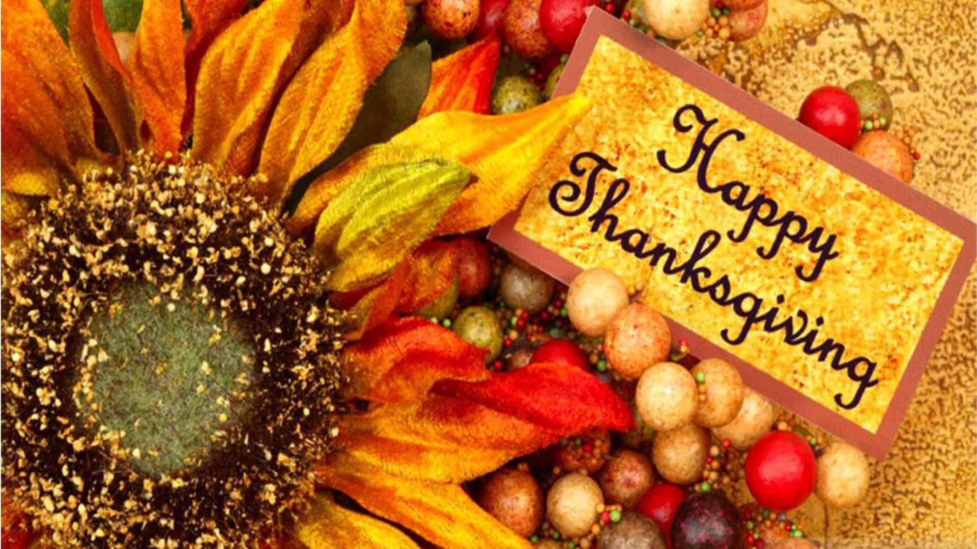 Happy Thanksgiving Sunflower Background