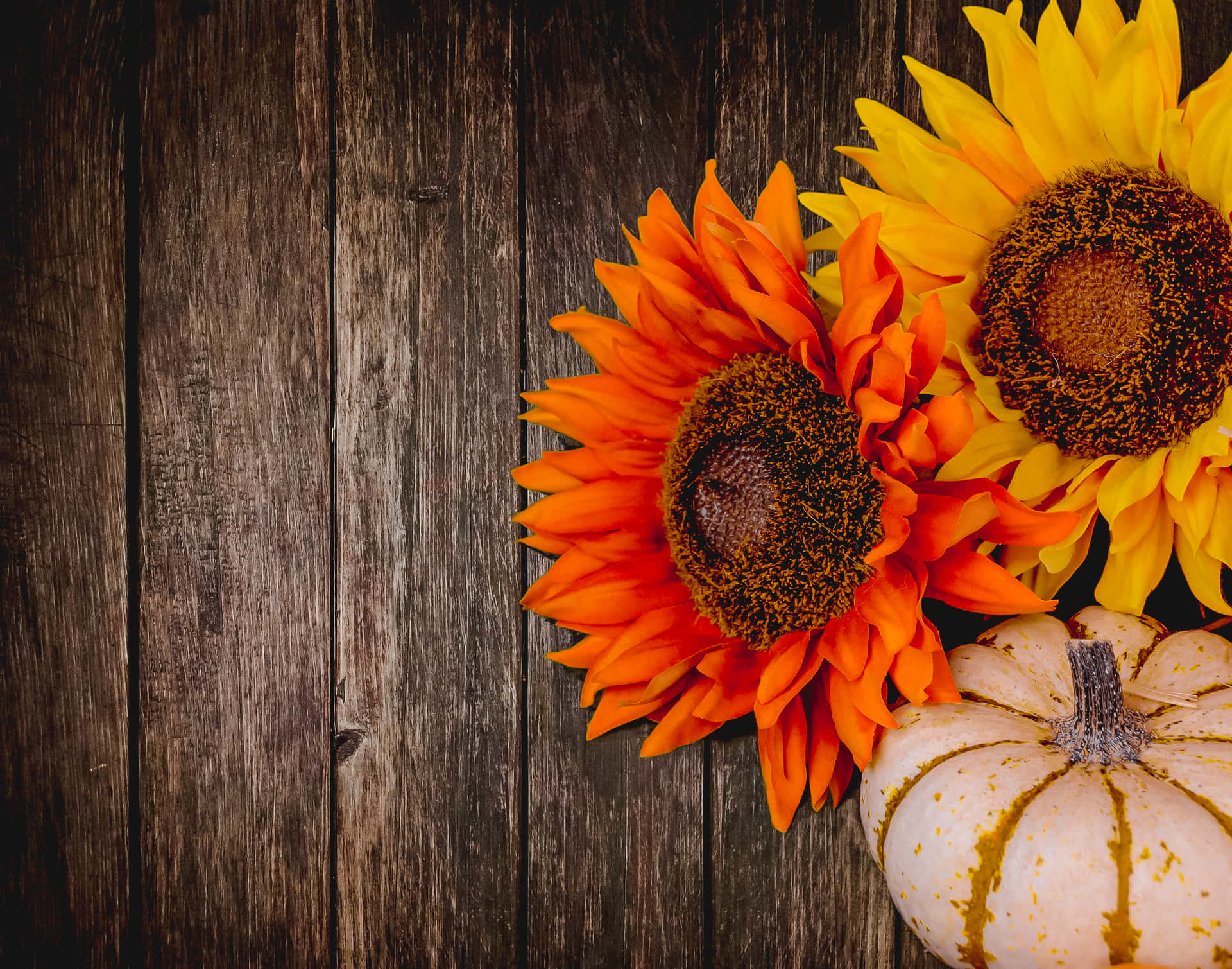 Happy Thanksgiving Wishes For Everyone! Background