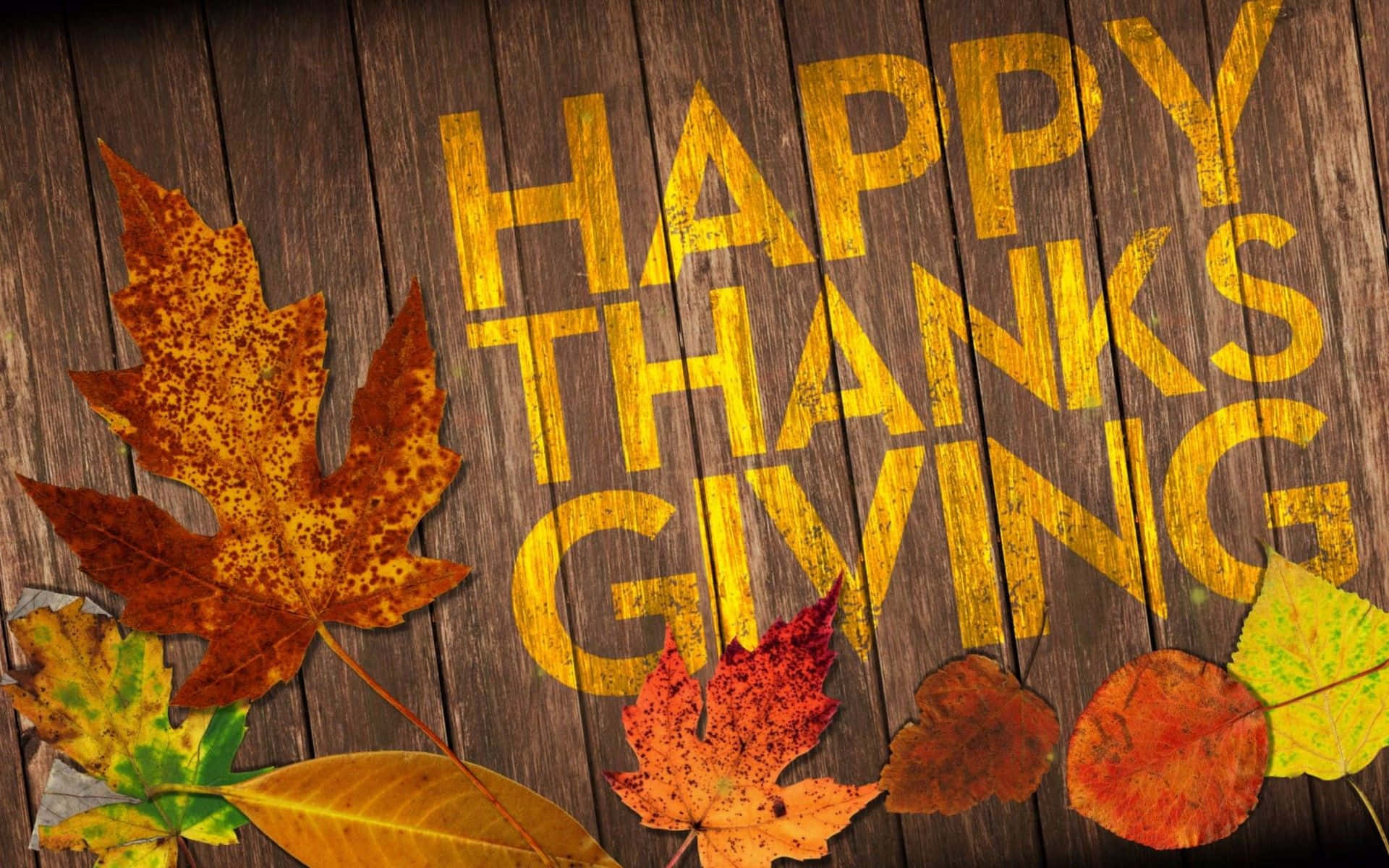 Happy Thanksgiving With Leaves And A Yellow Text Background