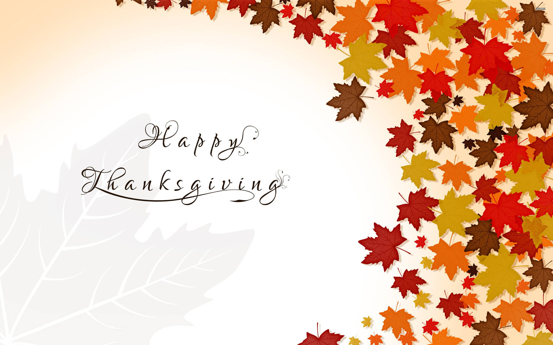 Happy Thanksgiving With Various Maple Leaves Background