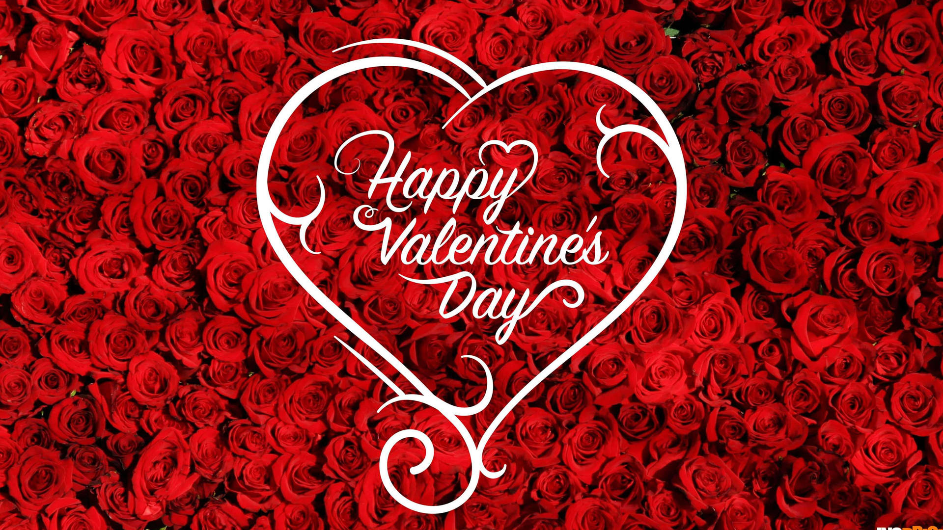 Happy Valentine’s Day Red Roses Desktop Background