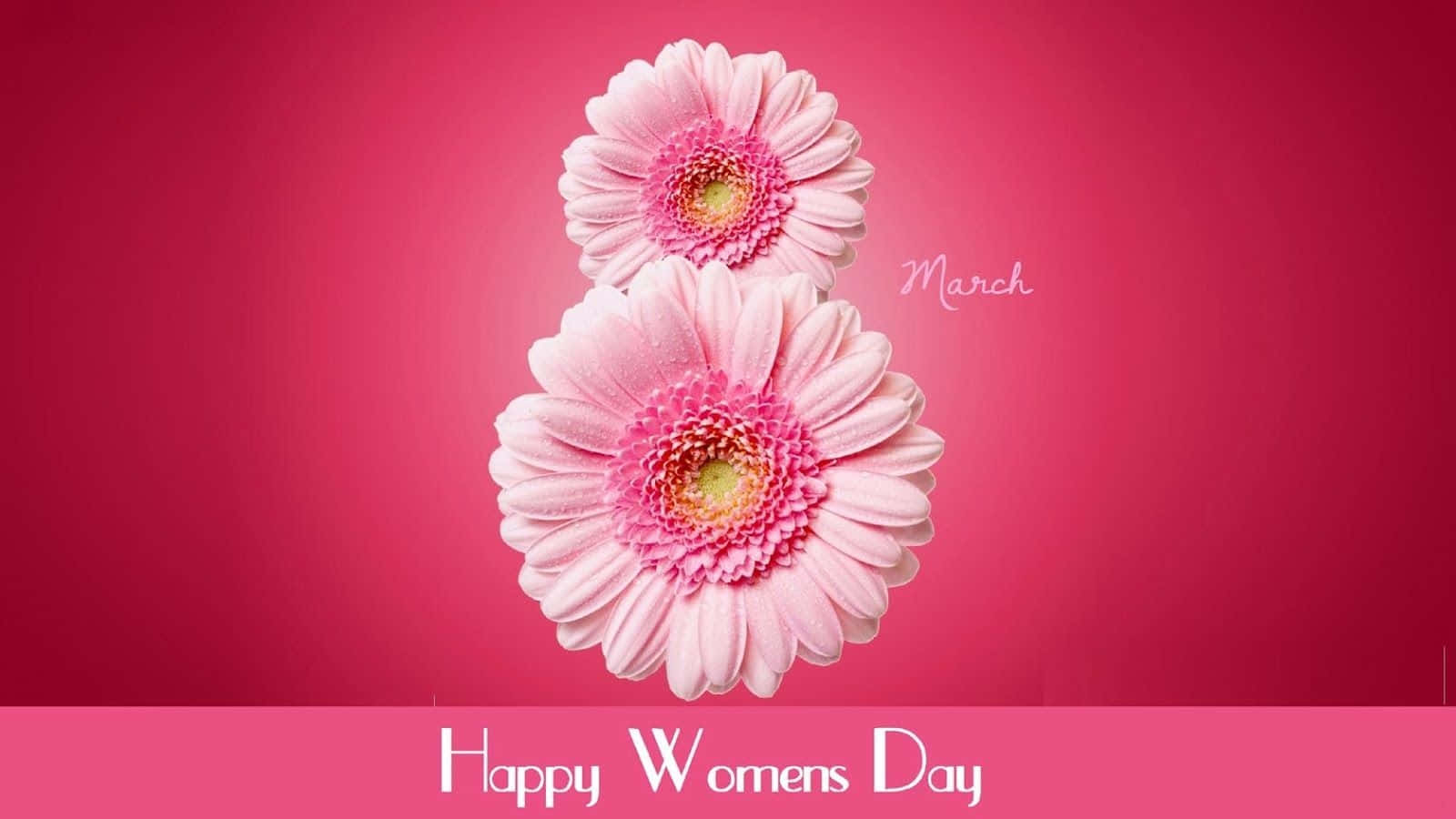 Happy Womens Day 2019 Wishes Background