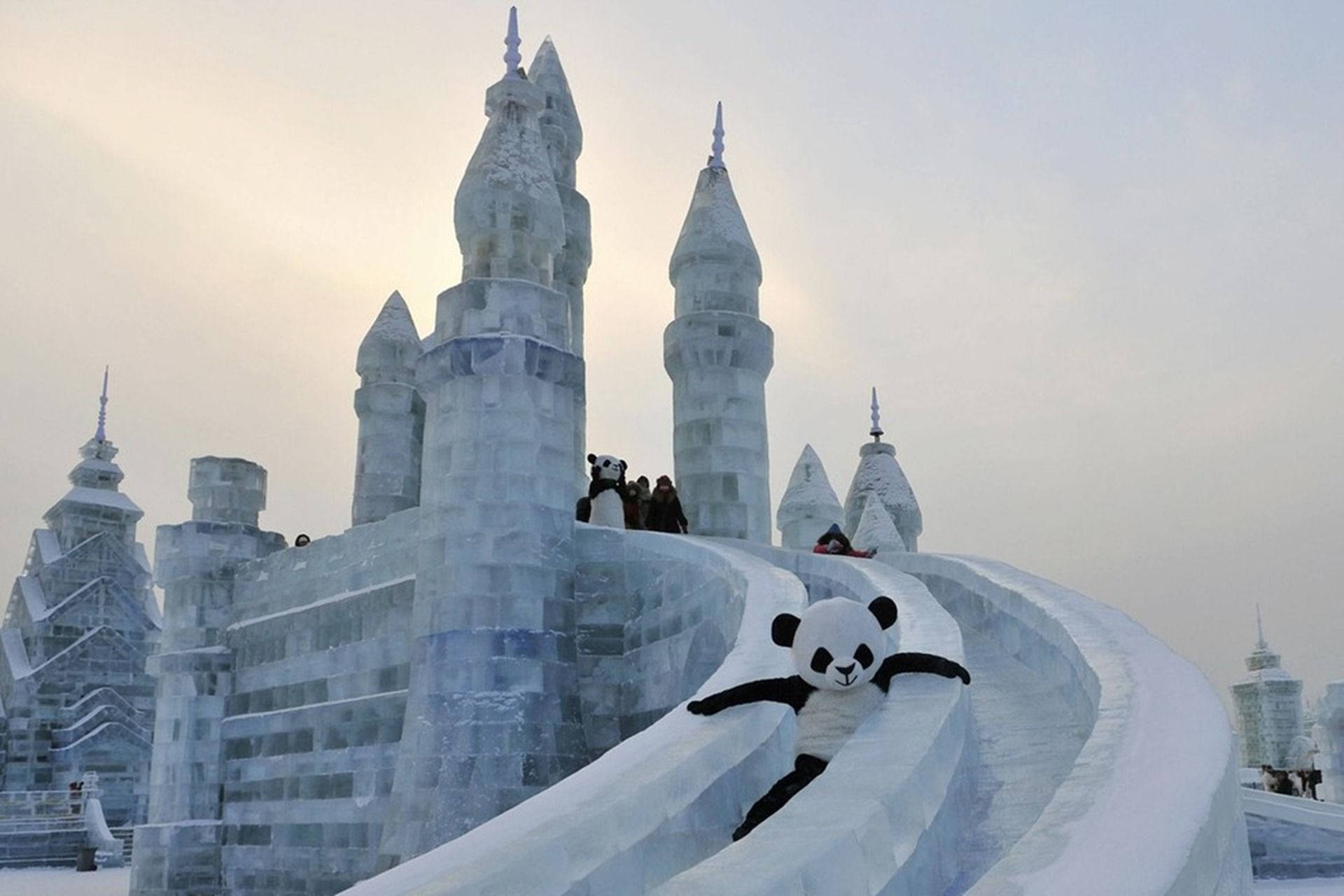 Harbin Panda Slide Background