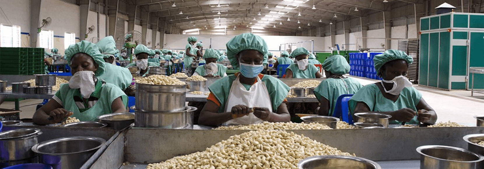 Hardworking Factory Workers In Benin Background