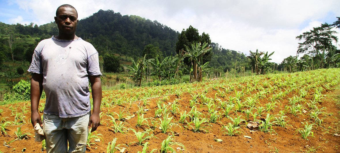 Hardworking Farmer In Sao Tome And Principe