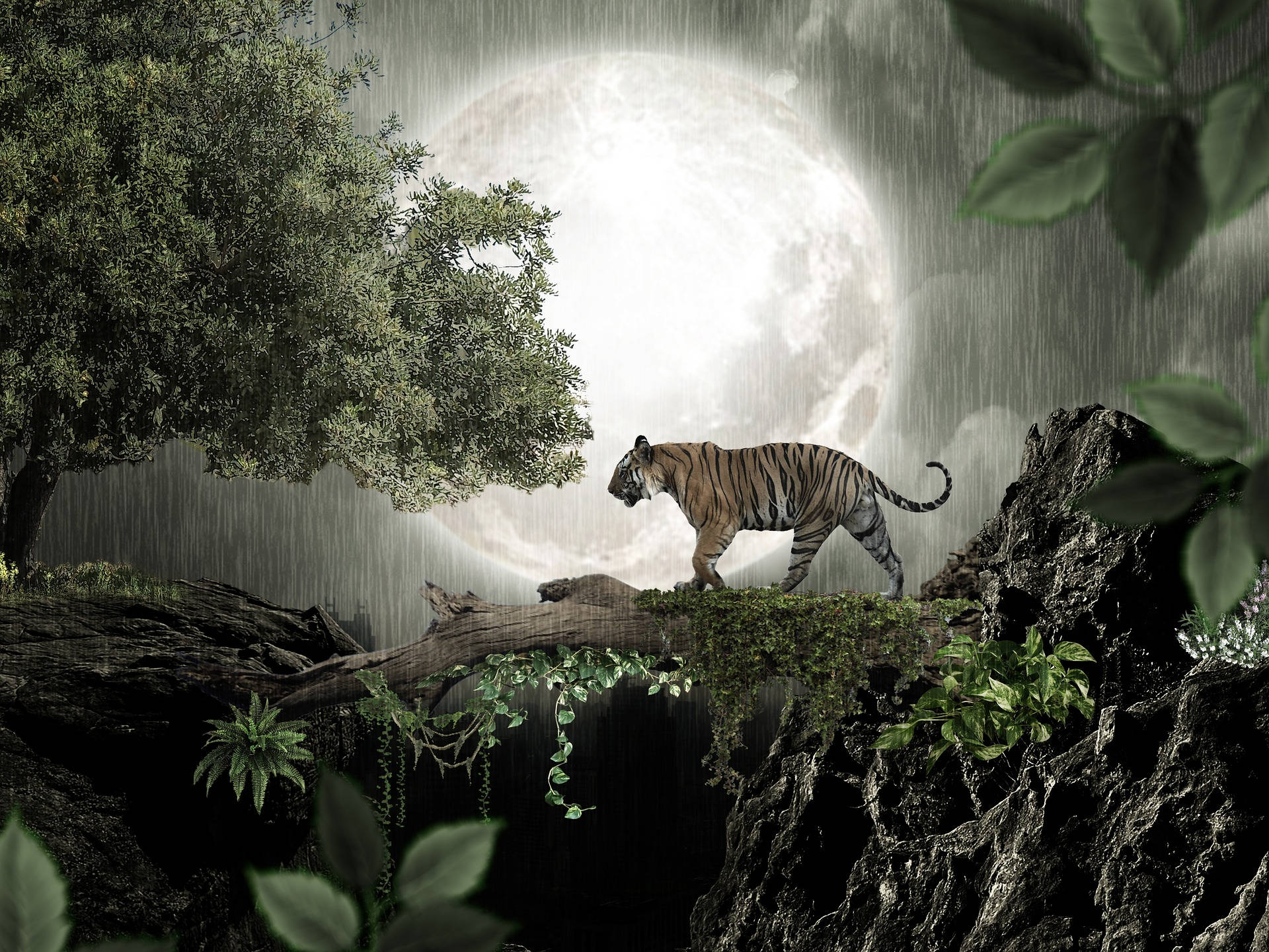 Harimau And Full Moon