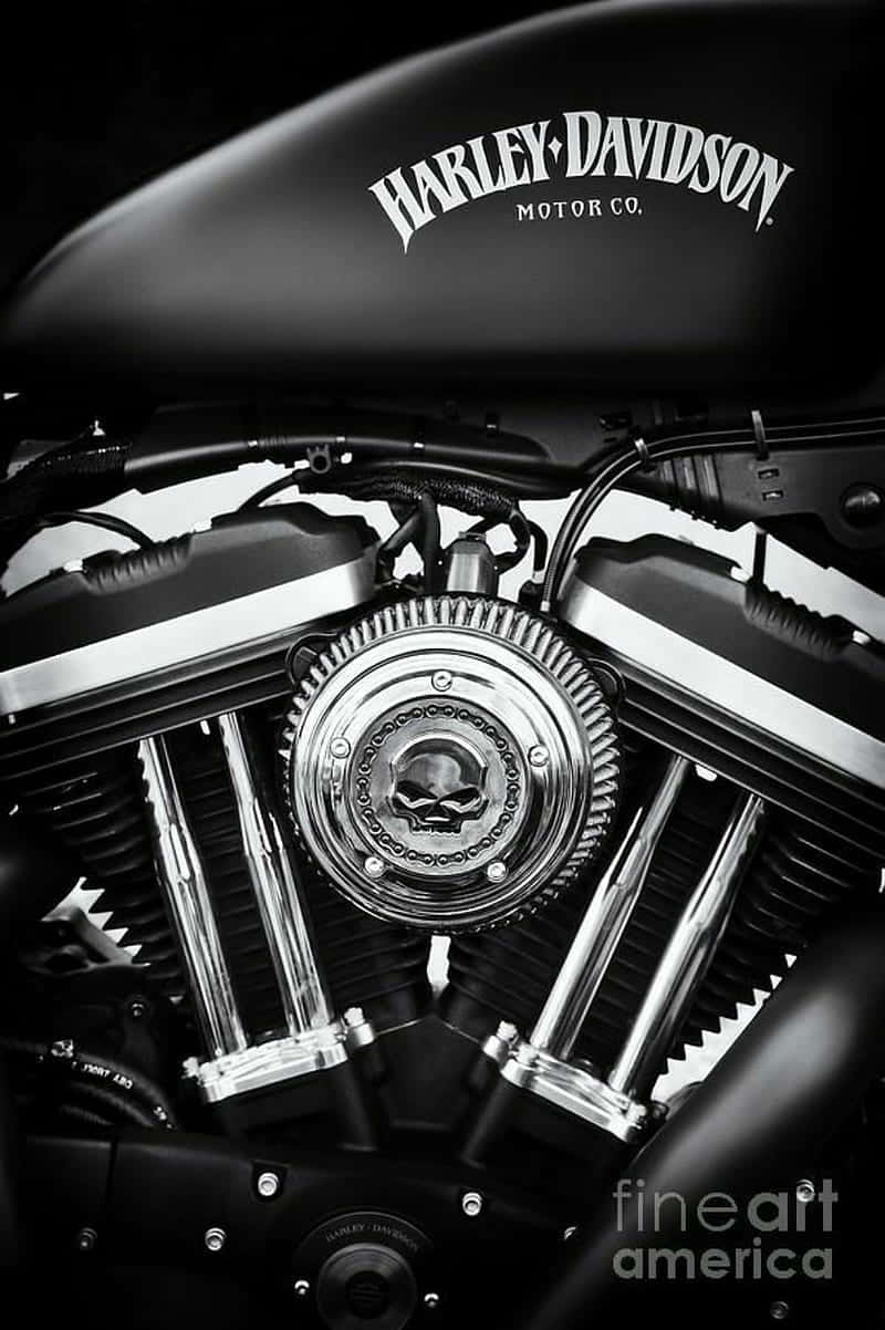 Harley Davidson Hd - Experience True Freedom Background