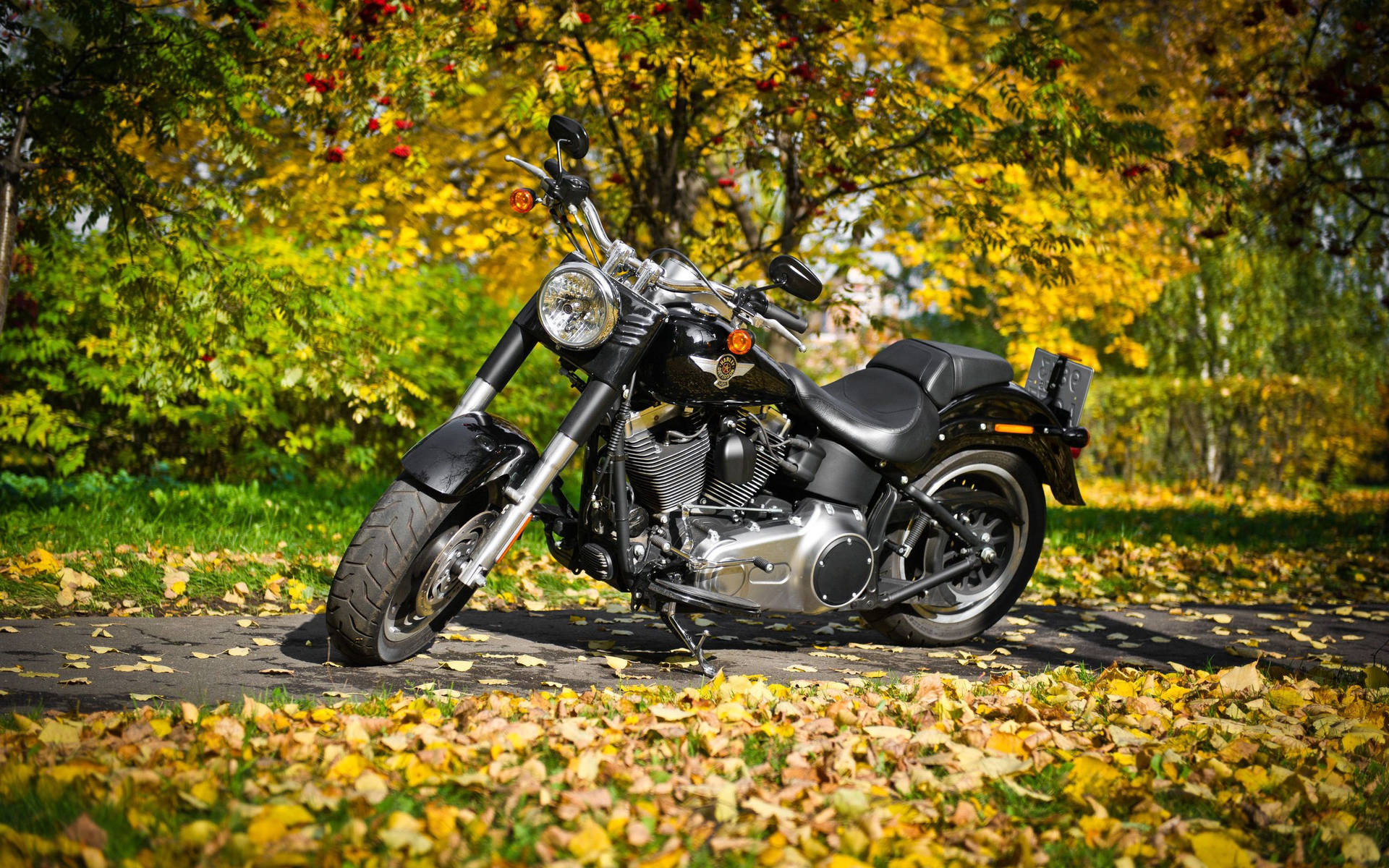 Harley Davidson In Autumn Background