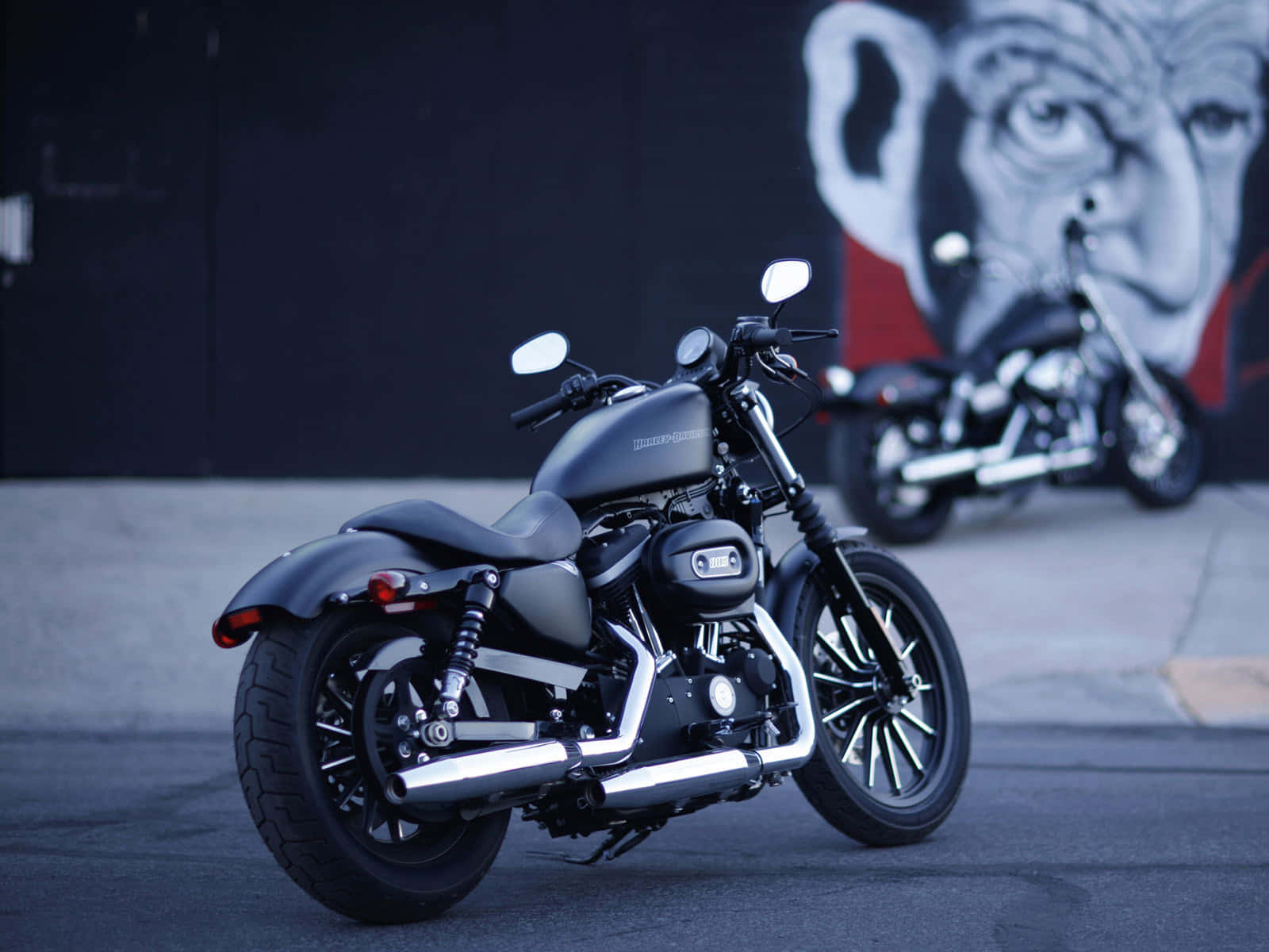 Harley Davidson Iron 883 In San Diego, California Background