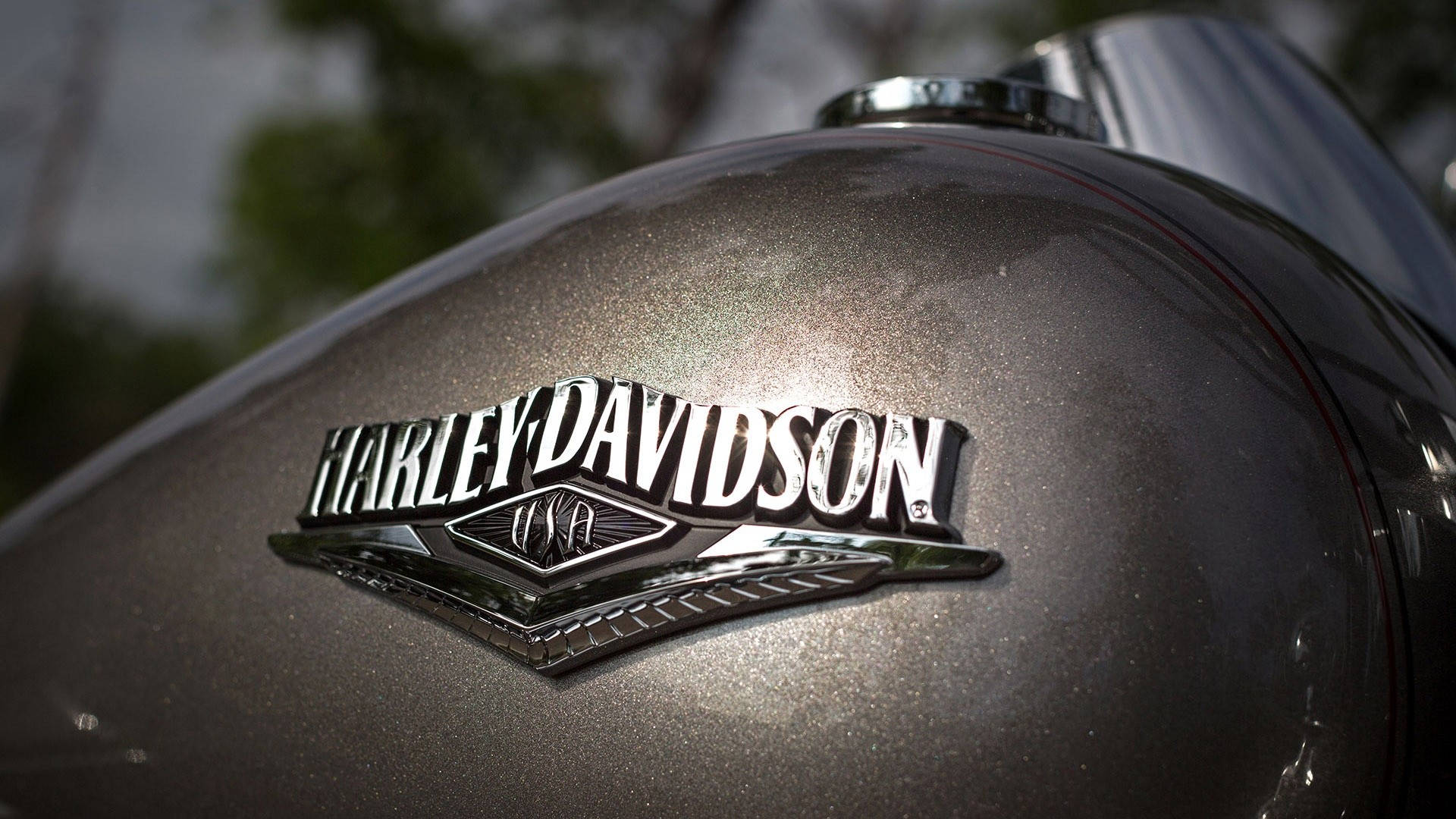 Harley Davidson Logo Motorbike Background