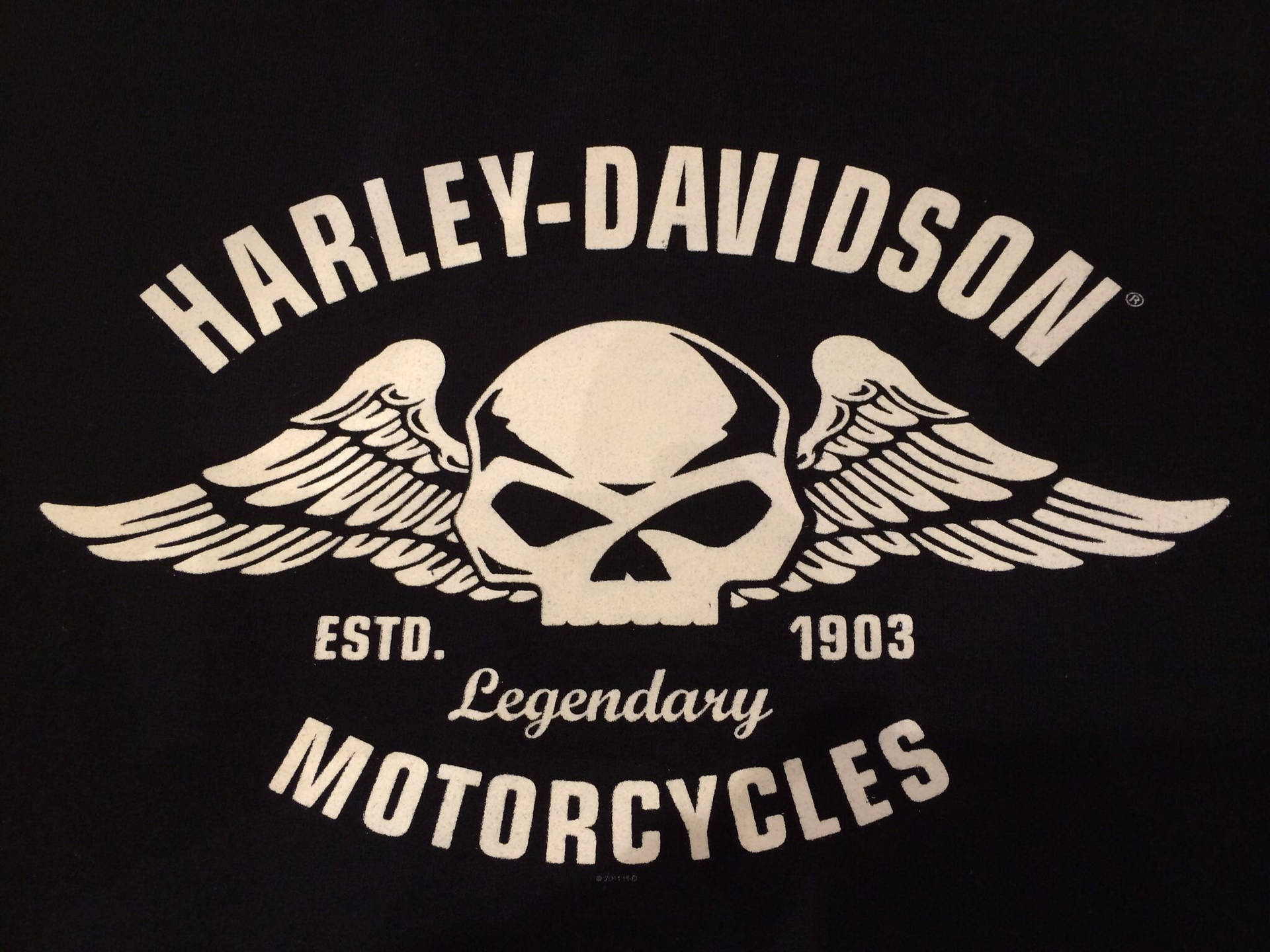 Harley Davidson Logo Winged Skull
