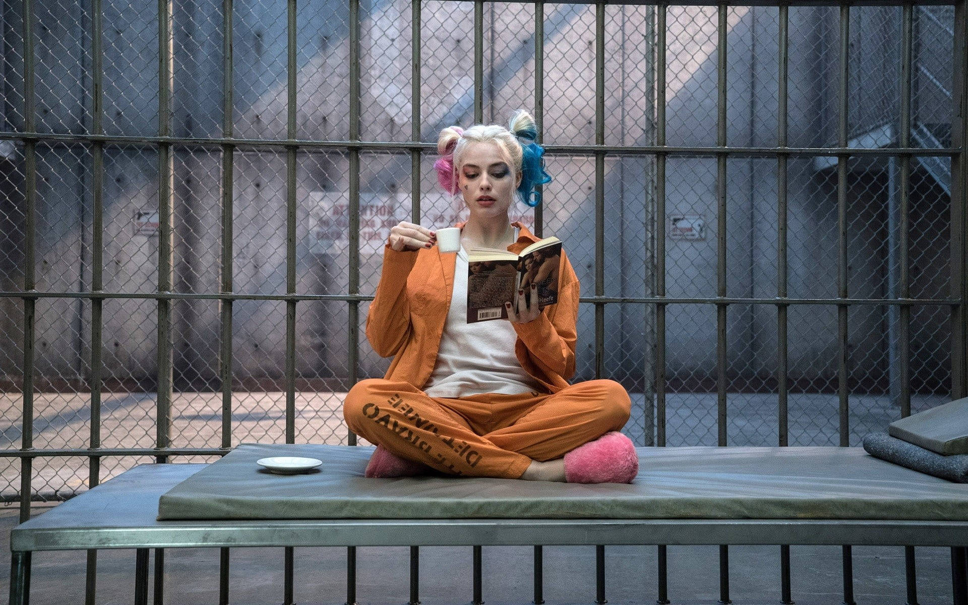 Harley Quinn Reading Book Inside Cell