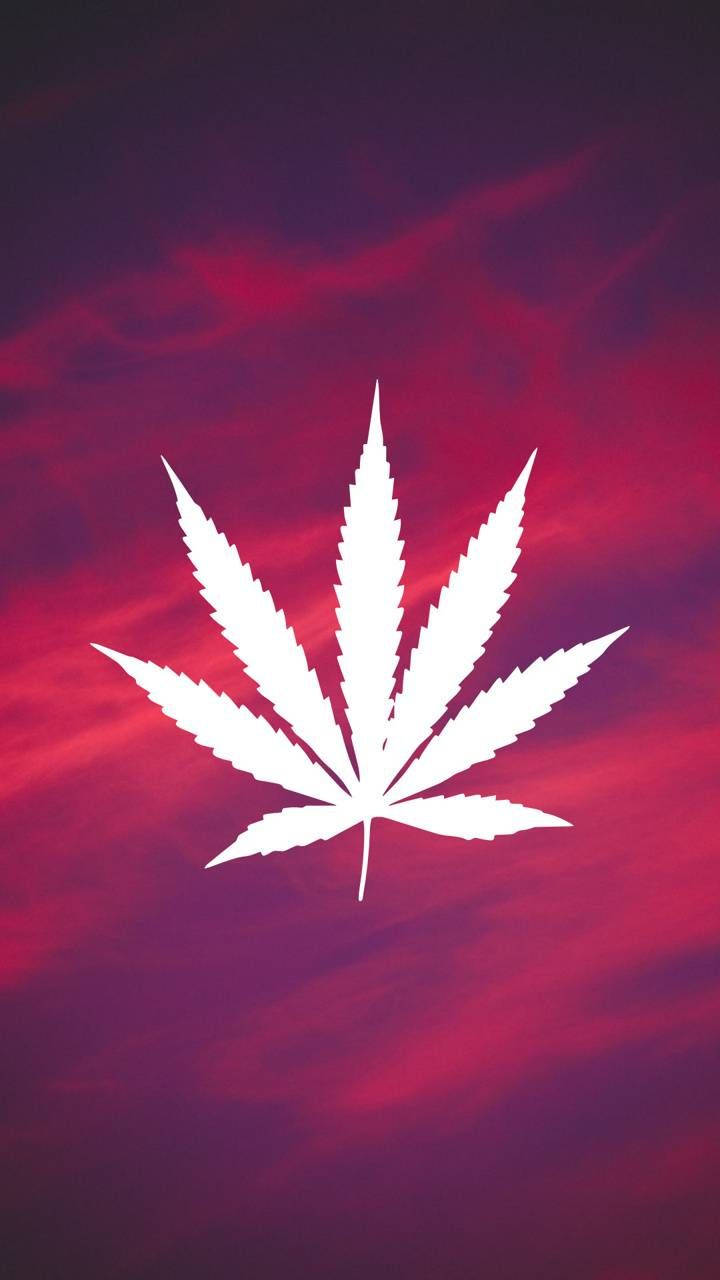 Harmonious Weed On Iphone Display Background