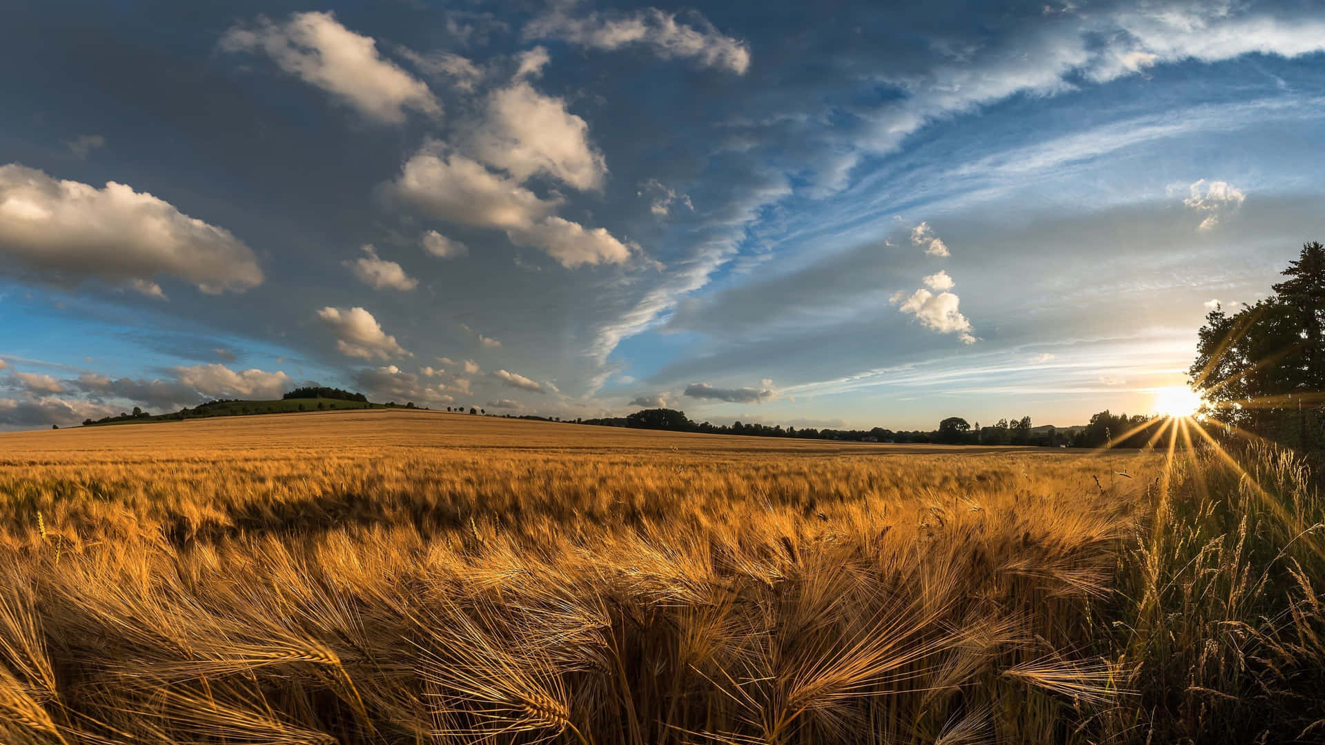 Harness The Power Of Technology To Increase Productivity On The Farm Background
