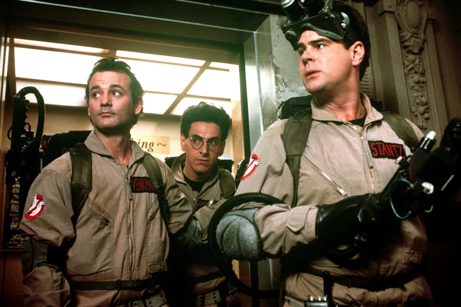 Harold Ramis 1581 X 1054 Background