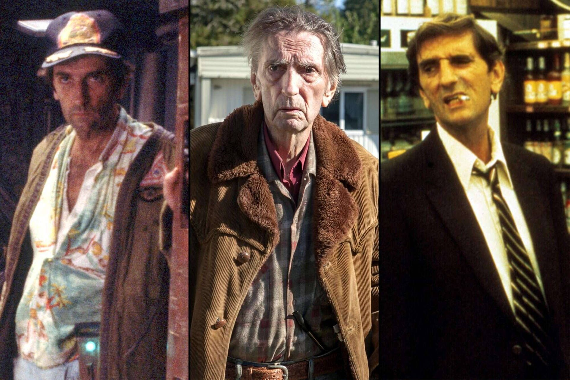 Harry Dean Stanton Character Collage