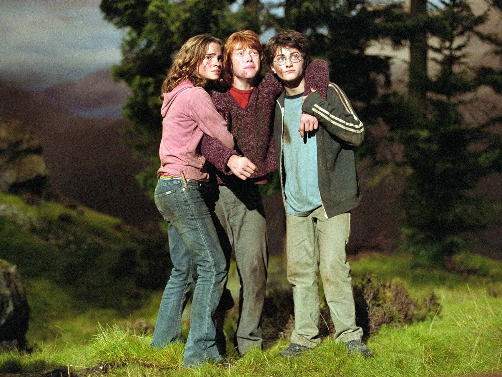 Harry, Hermione & Ron - The Golden Trio