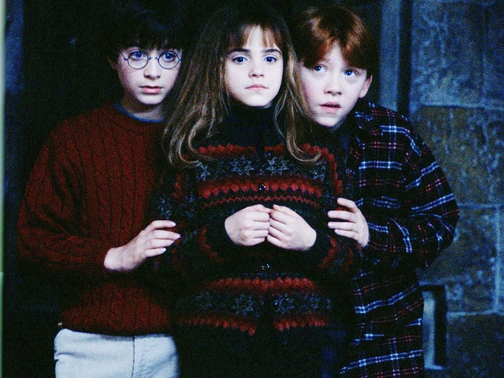 Harry Potter And The Golden Trio