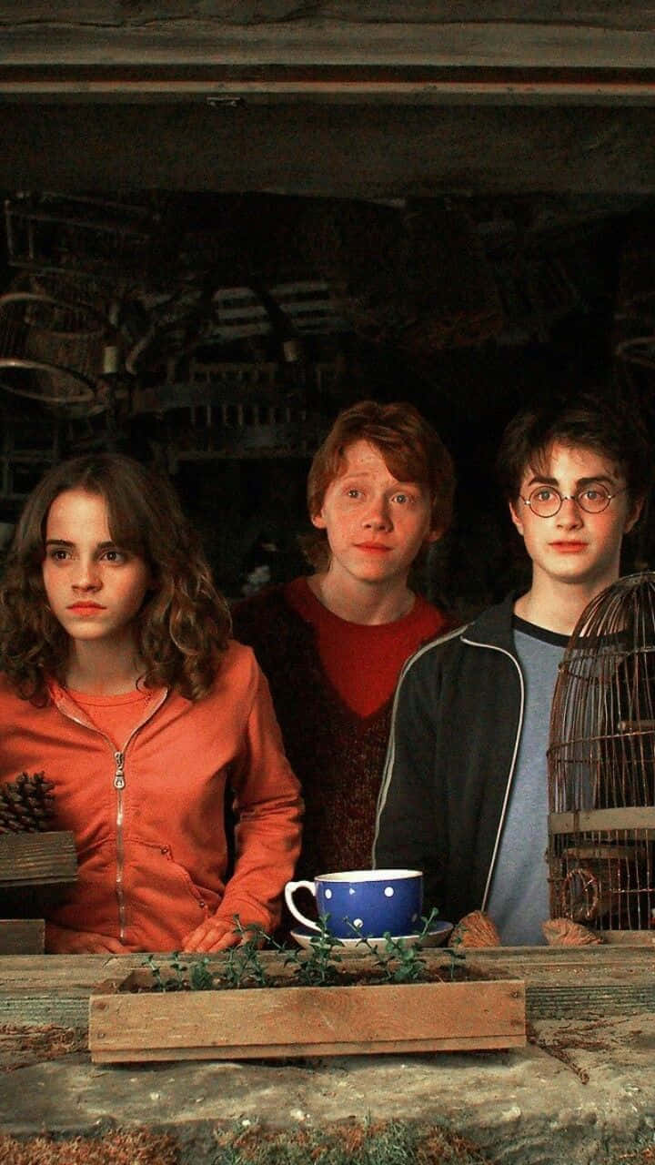 Harry Potter Golden Trio