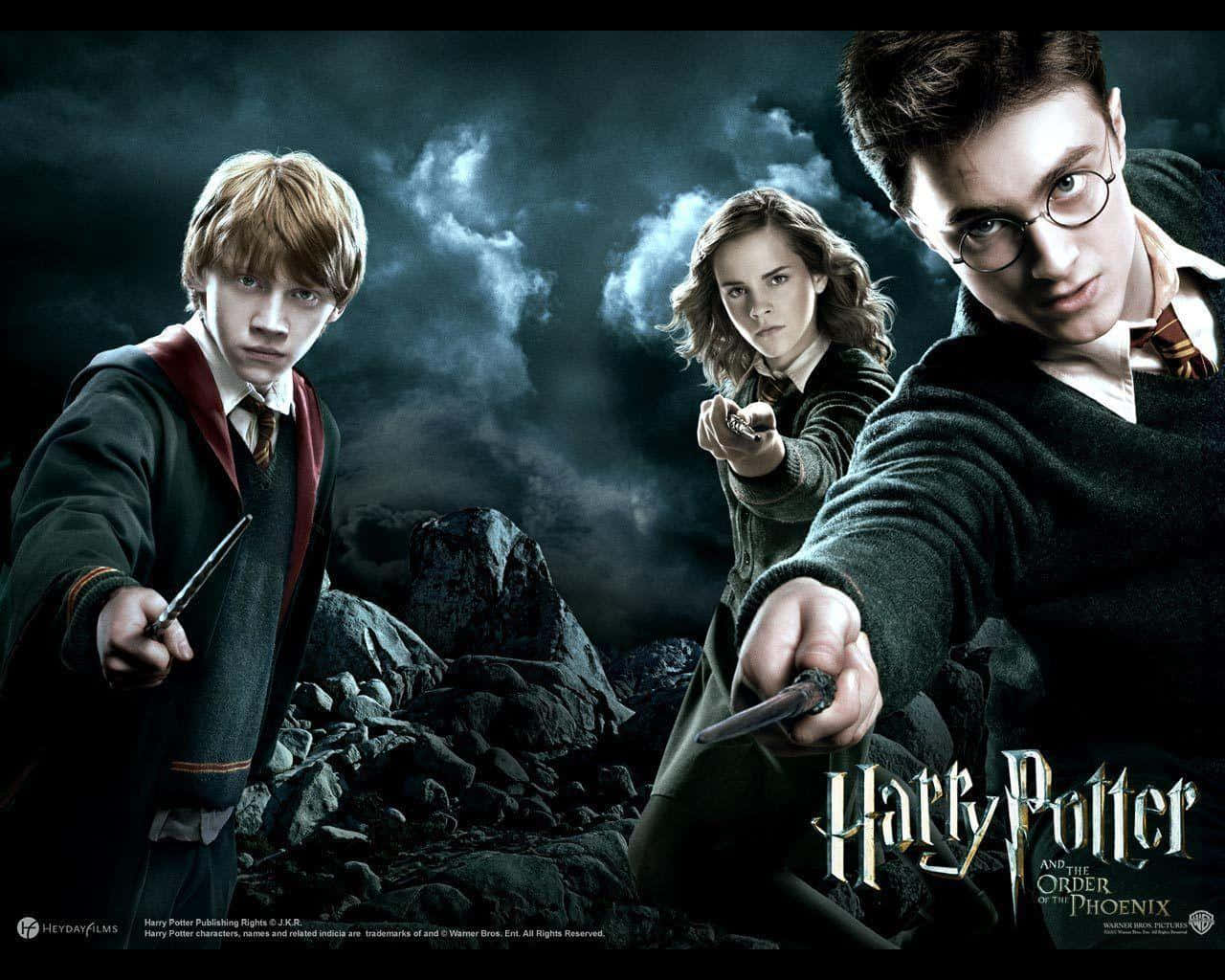 Harry Potter Hermione Ron All Characters Background