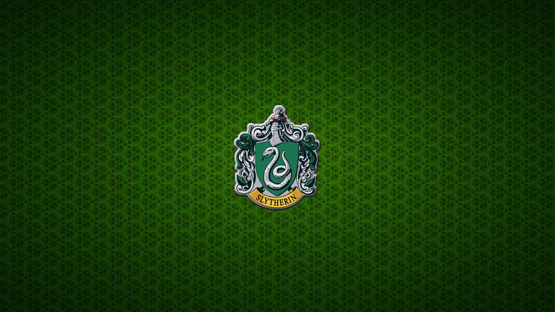 Harry Potter Houses Green Slytherin Coat Background