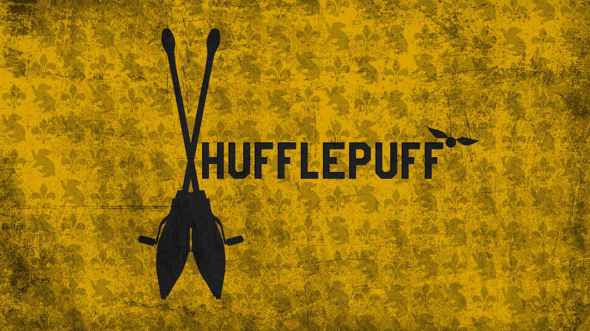 Harry Potter Houses Hufflepuff Quidditch Background