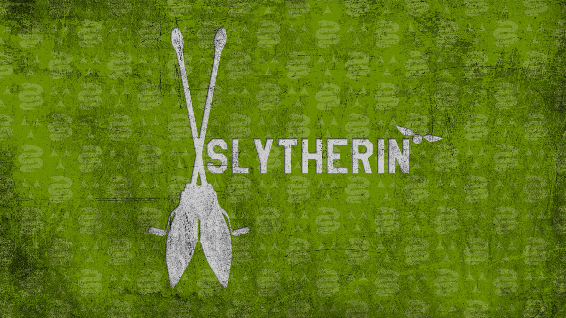Harry Potter Houses Slytherin Quidditch Background