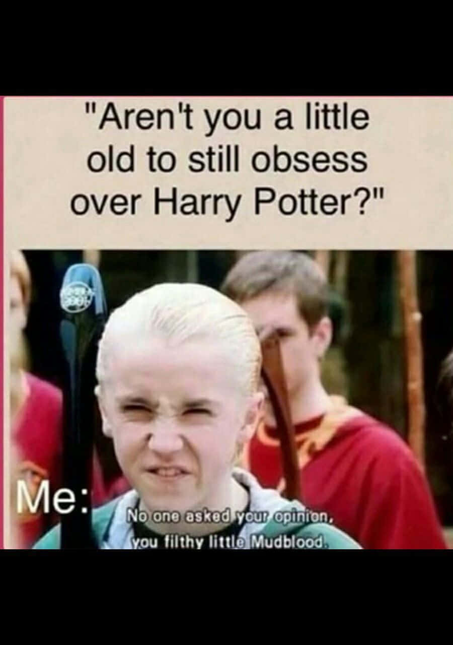 Harry Potter's Funny Misdemeanours Background