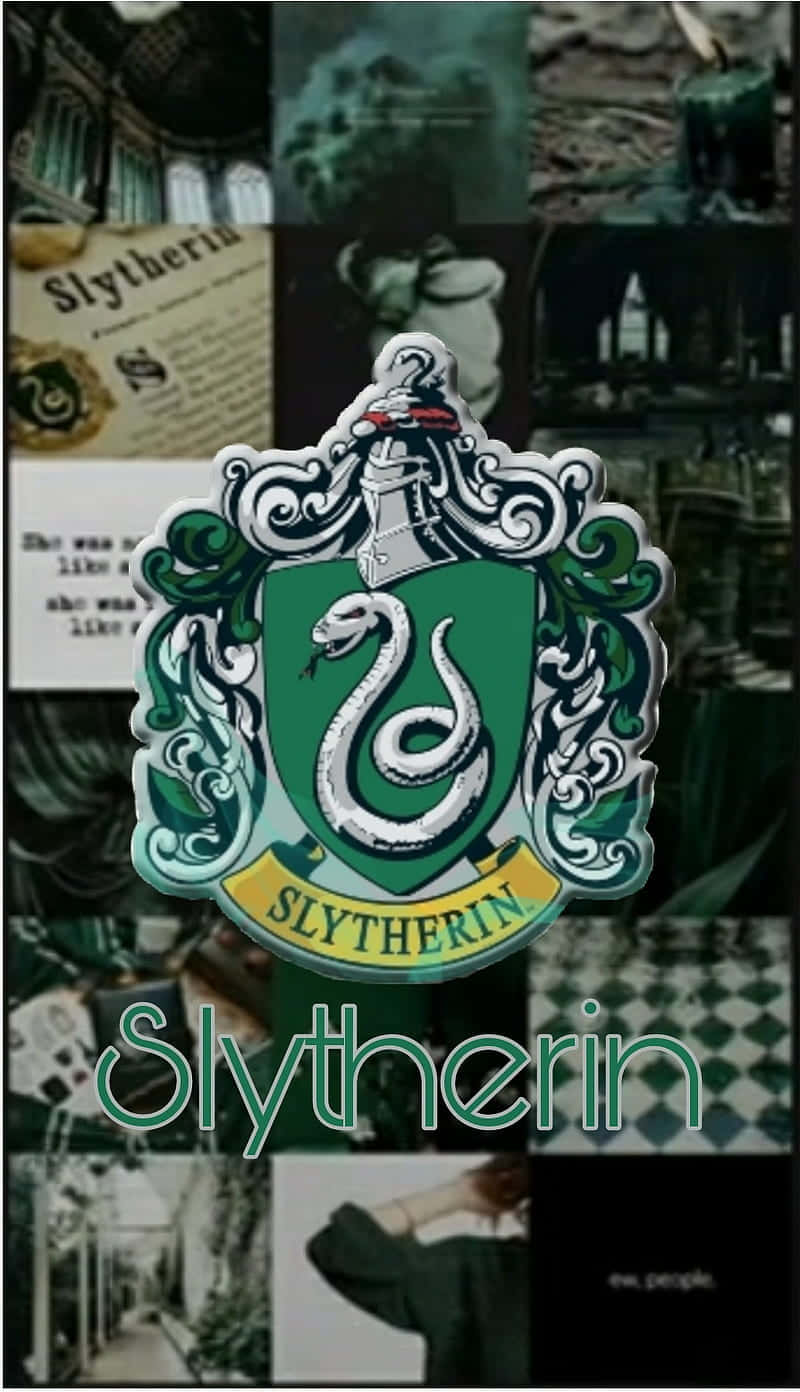 Harry Potter Slytherin - Harry Potter Slytherin - Harry Potter Sly Background