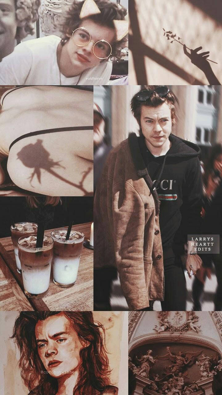 Harry Styles Aesthetic Clothing Background