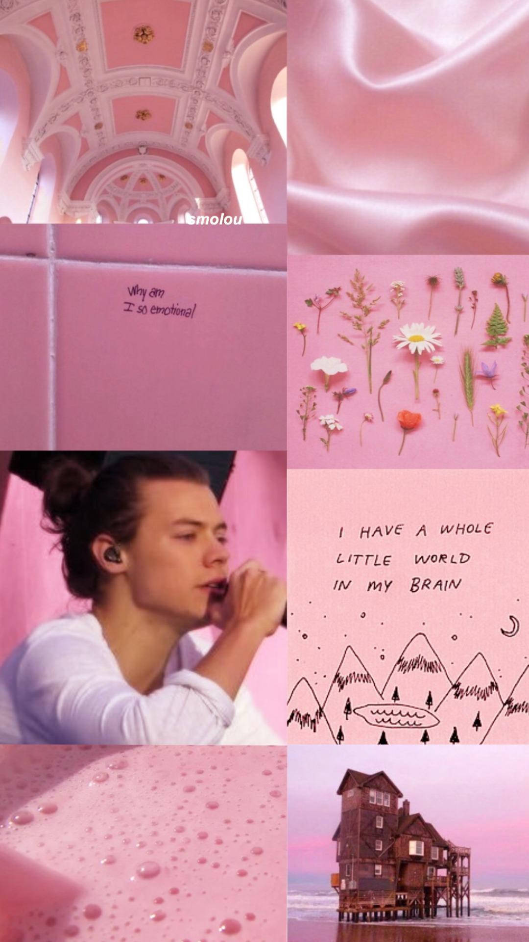 Harry Styles Aesthetic Pink Backdrop Background