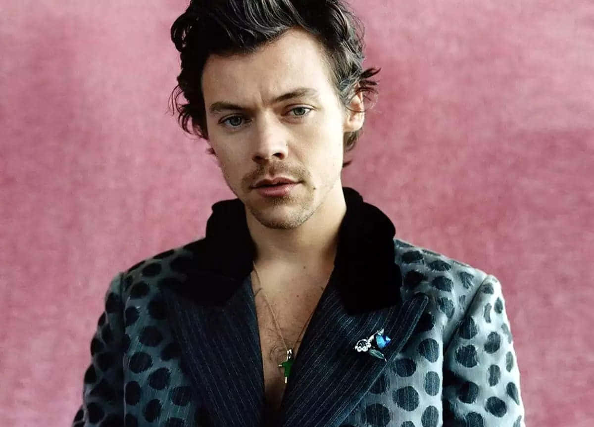 Harry Styles Album Cover For Calendar