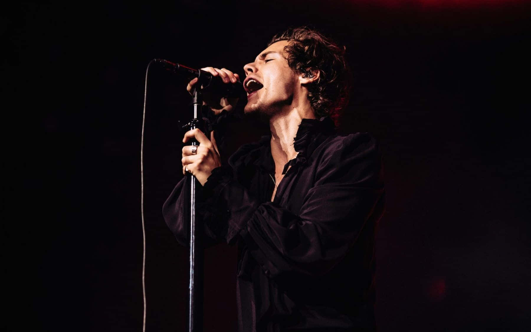 Harry Styles Enjoys The View From His Laptop