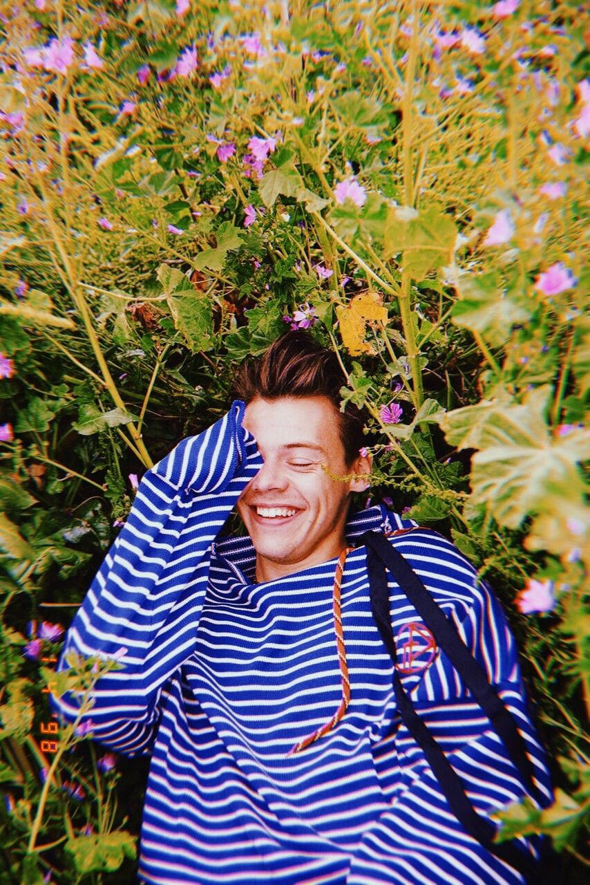 Harry Styles In Flower Field Background