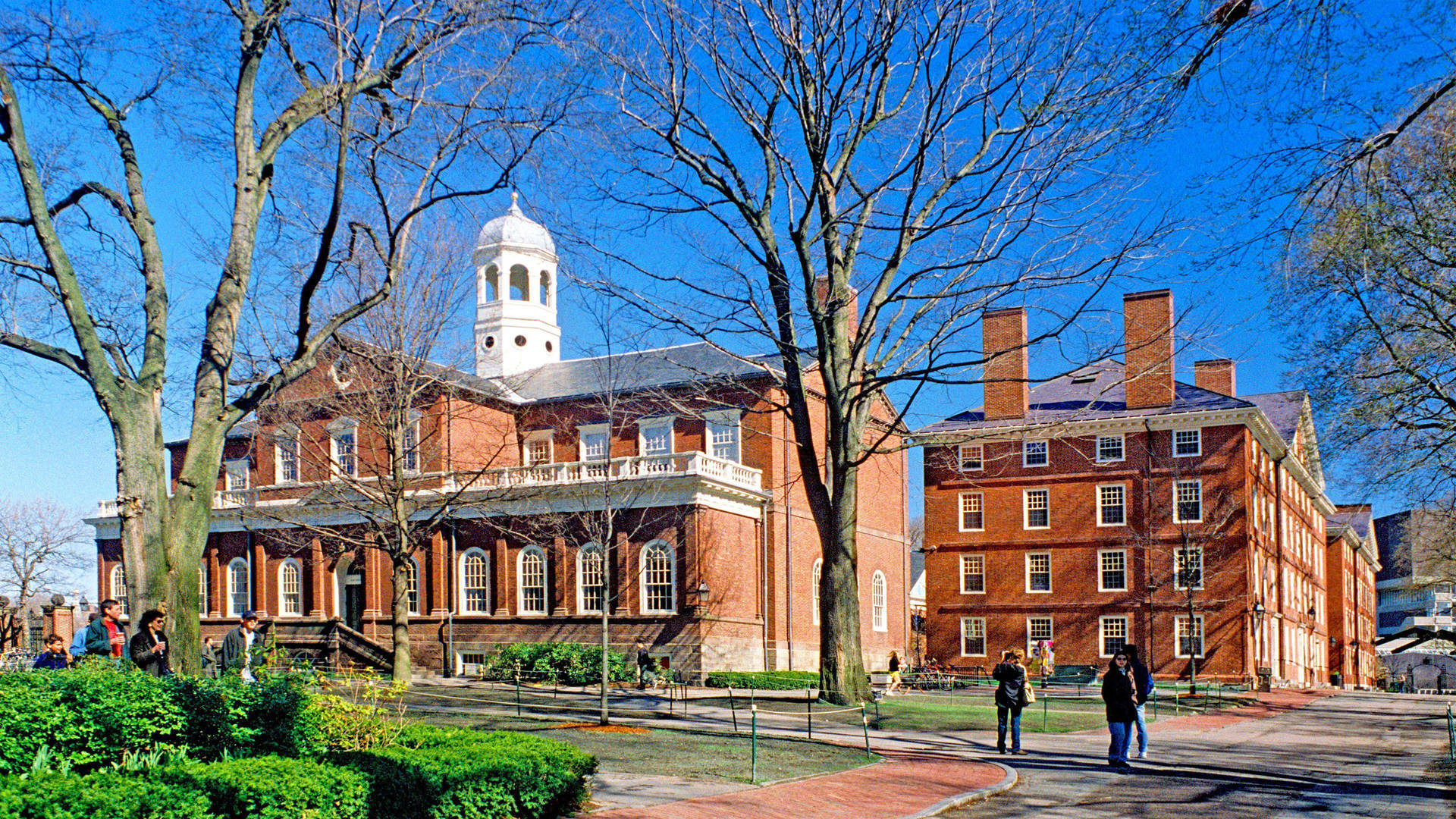 Harvard University Campus Background