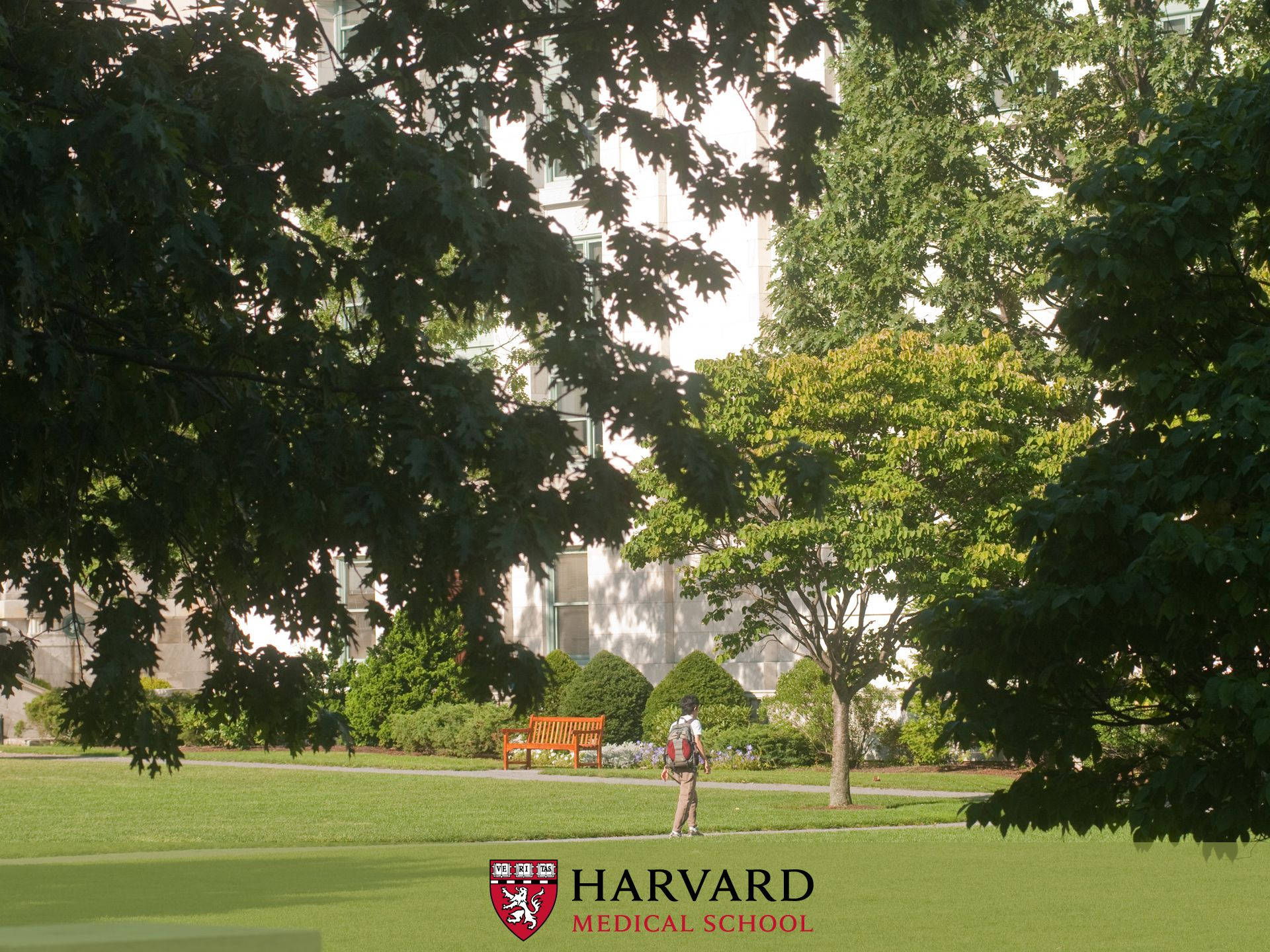 Harvard University Medical School Grounds Background