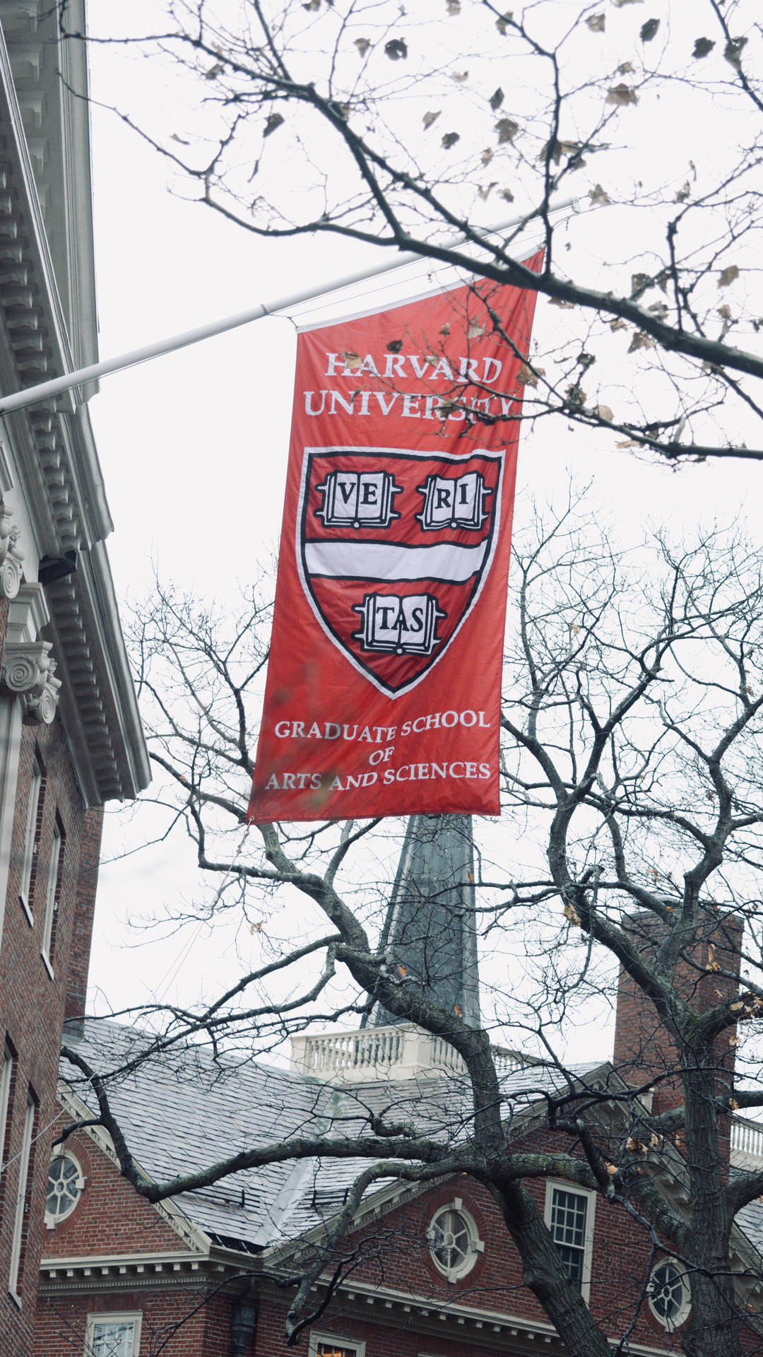 Harvard University Red Banner