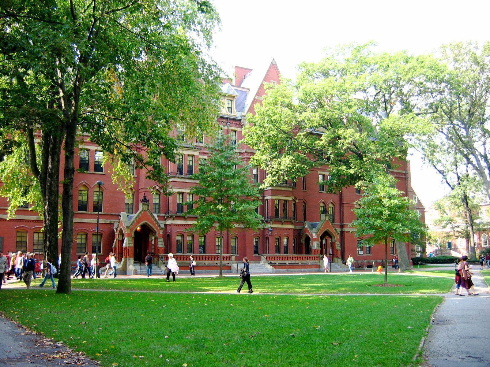 Harvard University Yard Trees Background