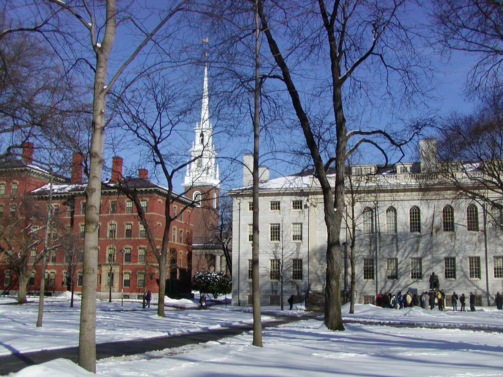 Harvard University Yard Winter Background