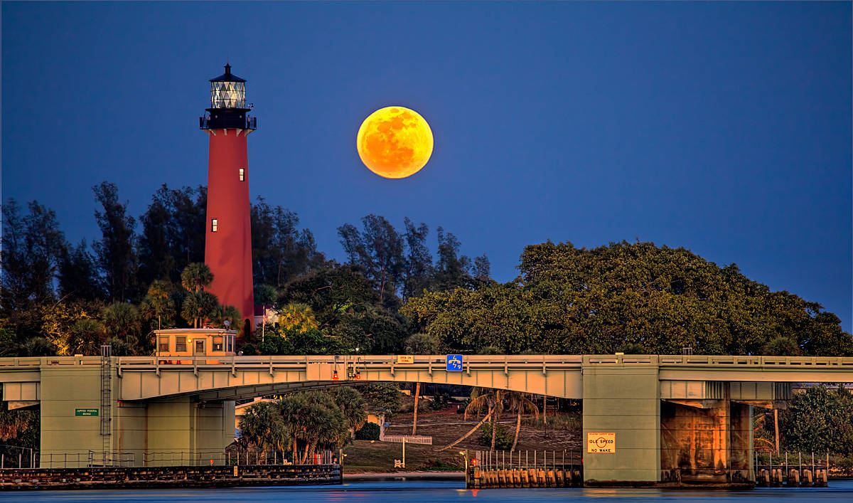 Harvest Moon Over Florida