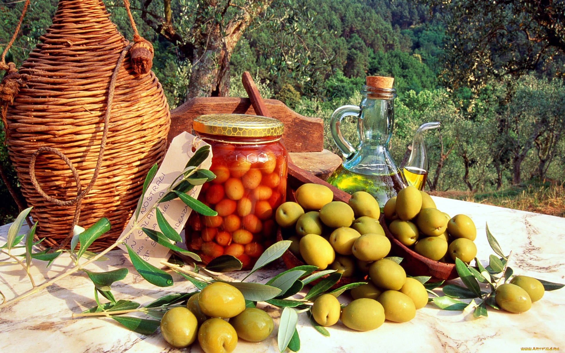 Harvest Time - Bountiful Appeal Of Olives