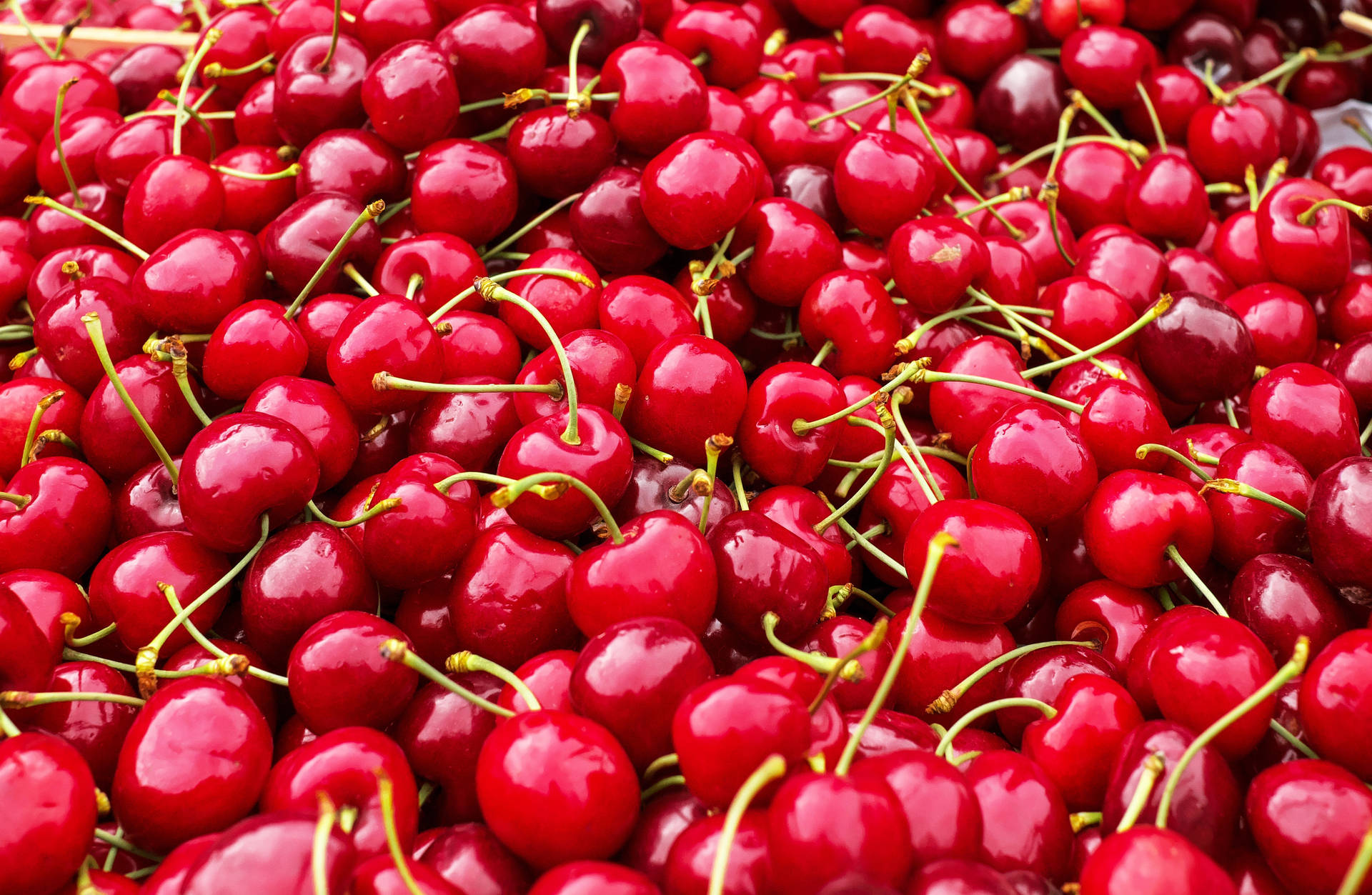 Harvested Cherries Background